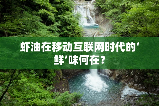 虾油在移动互联网时代的‘鲜’味何在？