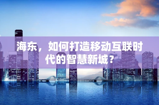 海东，如何打造移动互联时代的智慧新城？