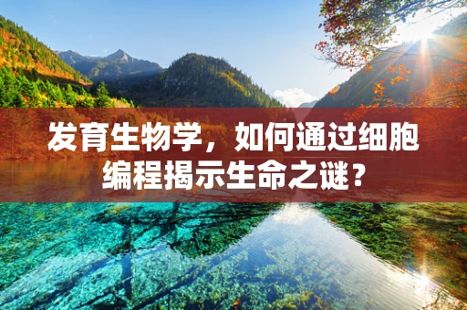 发育生物学，如何通过细胞编程揭示生命之谜？