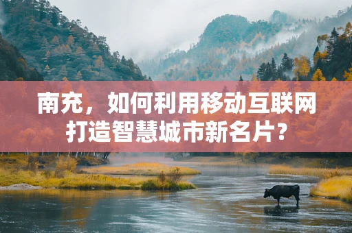南充，如何利用移动互联网打造智慧城市新名片？