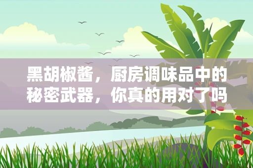 黑胡椒酱，厨房调味品中的秘密武器，你真的用对了吗？