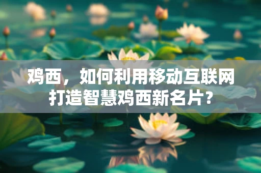 鸡西，如何利用移动互联网打造智慧鸡西新名片？