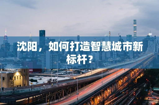 沈阳，如何打造智慧城市新标杆？