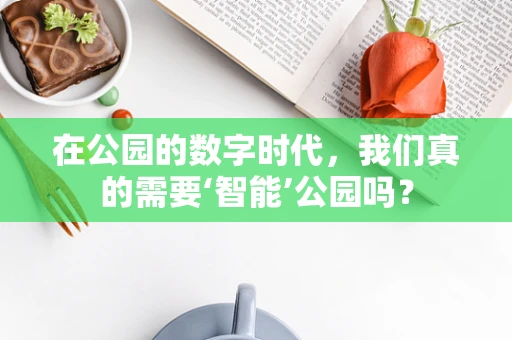 在公园的数字时代，我们真的需要‘智能’公园吗？