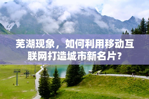 芜湖现象，如何利用移动互联网打造城市新名片？