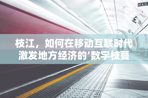 枝江，如何在移动互联时代激发地方经济的‘数字枝蔓’？
