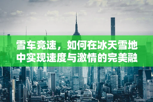 雪车竞速，如何在冰天雪地中实现速度与激情的完美融合？