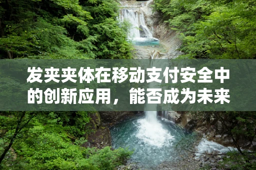 发夹夹体在移动支付安全中的创新应用，能否成为未来支付验证的新趋势？