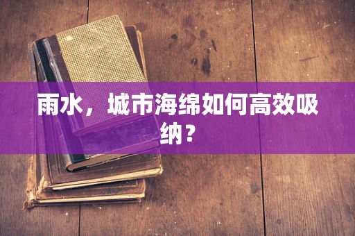 雨水，城市海绵如何高效吸纳？