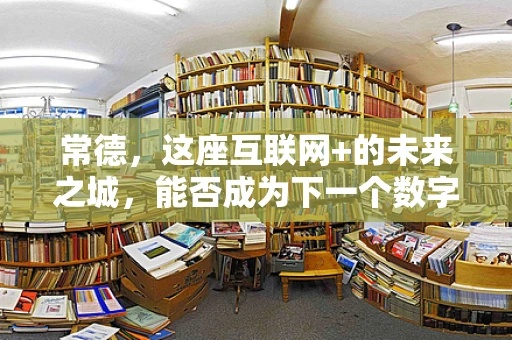 常德，这座互联网+的未来之城，能否成为下一个数字创新高地？