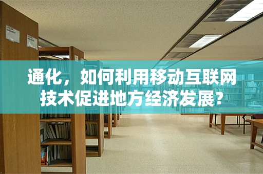 通化，如何利用移动互联网技术促进地方经济发展？