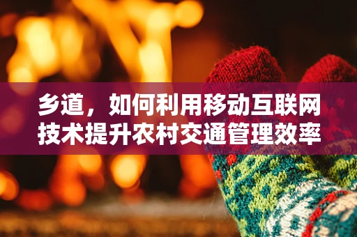 乡道，如何利用移动互联网技术提升农村交通管理效率？