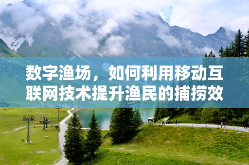 数字渔场，如何利用移动互联网技术提升渔民的捕捞效率？