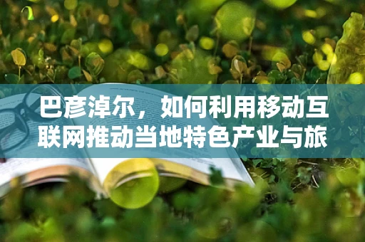 巴彦淖尔，如何利用移动互联网推动当地特色产业与旅游发展？