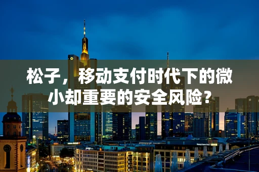 松子，移动支付时代下的微小却重要的安全风险？