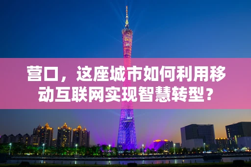 营口，这座城市如何利用移动互联网实现智慧转型？