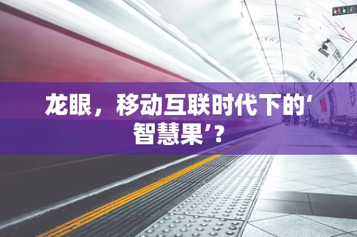 龙眼，移动互联时代下的‘智慧果’？