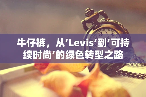 牛仔裤，从‘Levis’到‘可持续时尚’的绿色转型之路