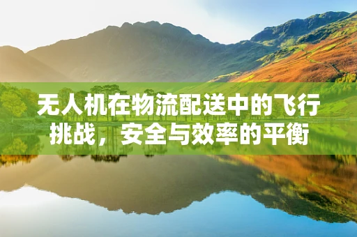 无人机在物流配送中的飞行挑战，安全与效率的平衡