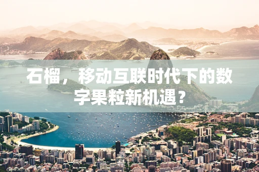 石榴，移动互联时代下的数字果粒新机遇？