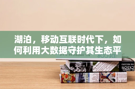 湖泊，移动互联时代下，如何利用大数据守护其生态平衡？