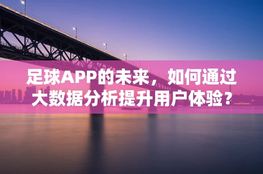 足球APP的未来，如何通过大数据分析提升用户体验？