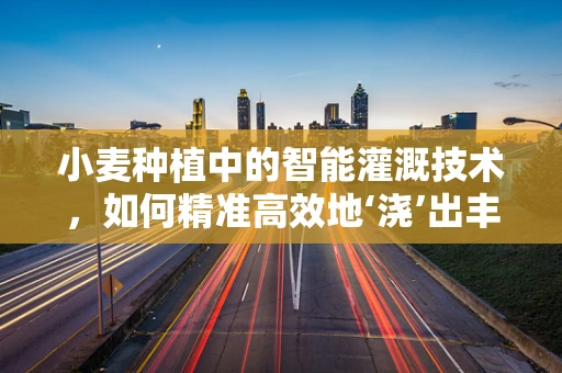 小麦种植中的智能灌溉技术，如何精准高效地‘浇’出丰收？