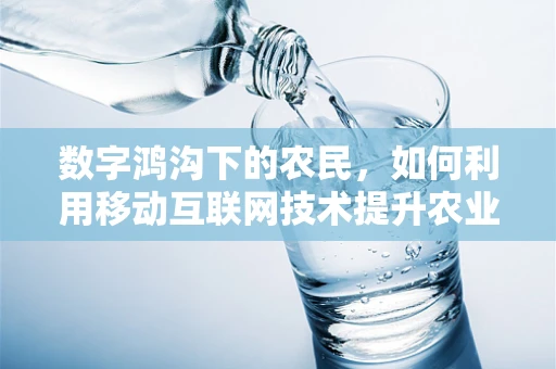 数字鸿沟下的农民，如何利用移动互联网技术提升农业生产力？