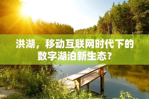 洪湖，移动互联网时代下的数字湖泊新生态？
