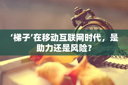 ‘梯子’在移动互联网时代，是助力还是风险？