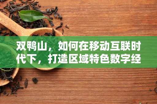 双鸭山，如何在移动互联时代下，打造区域特色数字经济新引擎？