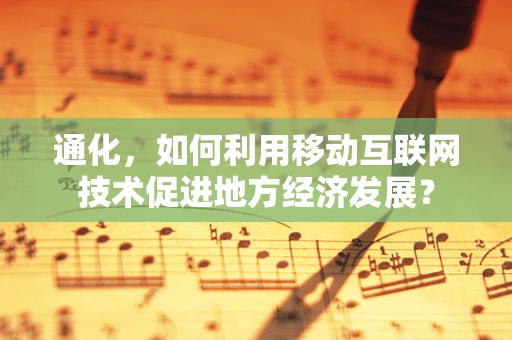 通化，如何利用移动互联网技术促进地方经济发展？