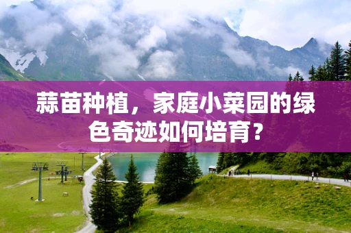 蒜苗种植，家庭小菜园的绿色奇迹如何培育？
