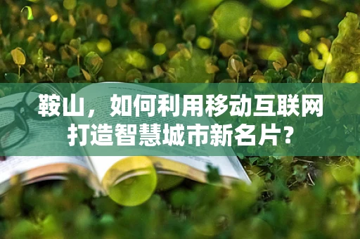 鞍山，如何利用移动互联网打造智慧城市新名片？