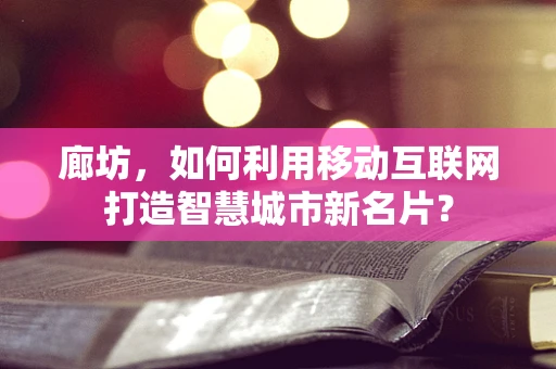 廊坊，如何利用移动互联网打造智慧城市新名片？