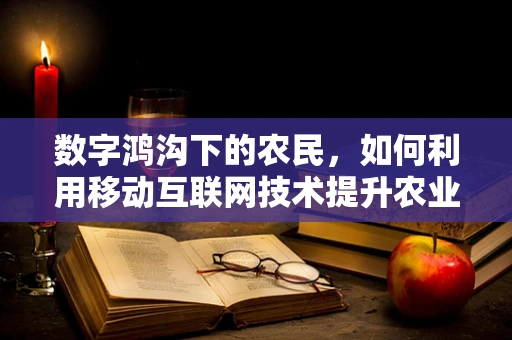 数字鸿沟下的农民，如何利用移动互联网技术提升农业生产效率？
