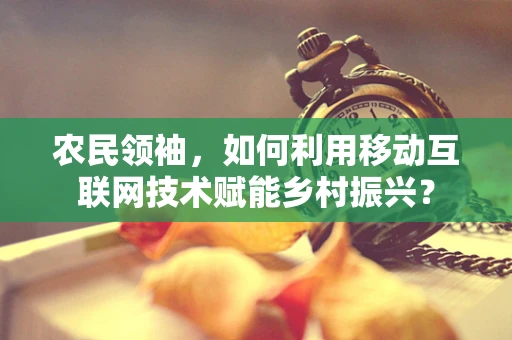 农民领袖，如何利用移动互联网技术赋能乡村振兴？