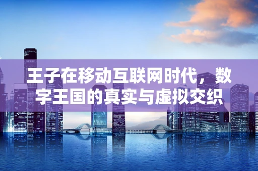 王子在移动互联网时代，数字王国的真实与虚拟交织
