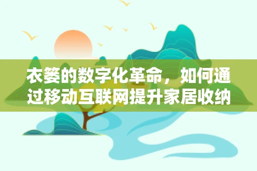 衣篓的数字化革命，如何通过移动互联网提升家居收纳体验？