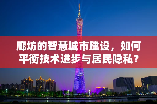 廊坊的智慧城市建设，如何平衡技术进步与居民隐私？