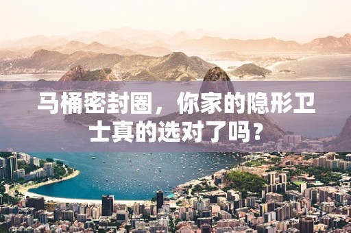 马桶密封圈，你家的隐形卫士真的选对了吗？