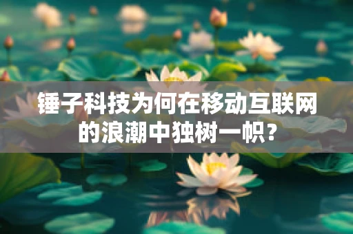 锤子科技为何在移动互联网的浪潮中独树一帜？