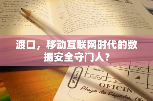 渡口，移动互联网时代的数据安全守门人？