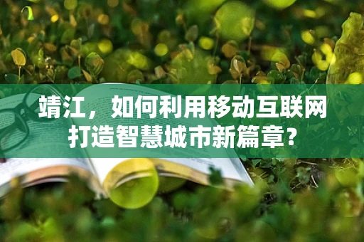 靖江，如何利用移动互联网打造智慧城市新篇章？