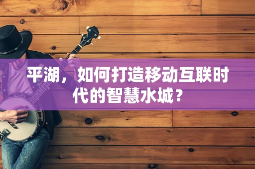 平湖，如何打造移动互联时代的智慧水城？