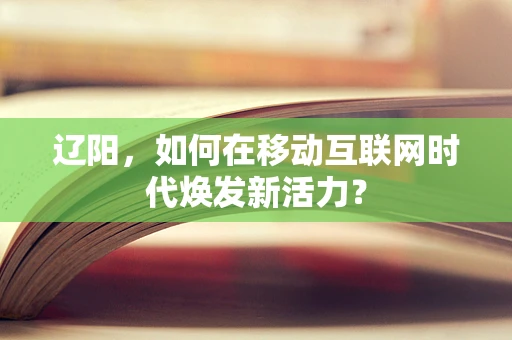 辽阳，如何在移动互联网时代焕发新活力？