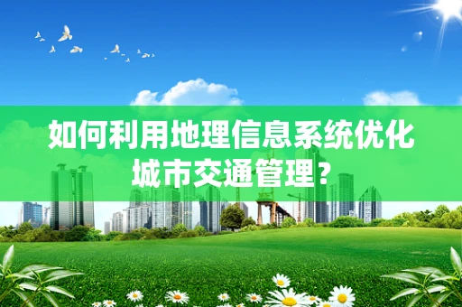如何利用地理信息系统优化城市交通管理？