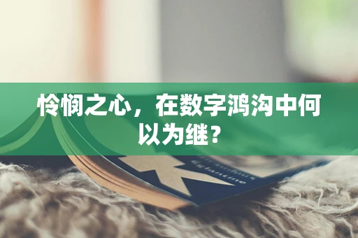 怜悯之心，在数字鸿沟中何以为继？