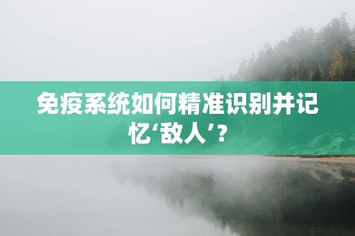 免疫系统如何精准识别并记忆‘敌人’？