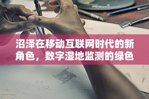 沼泽在移动互联网时代的新角色，数字湿地监测的绿色前沿